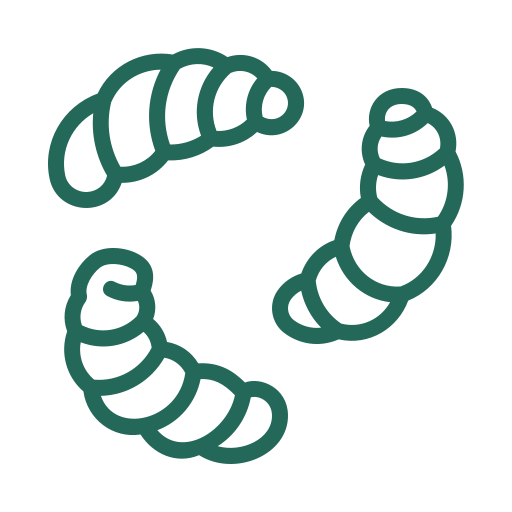 Insect Protein Farming